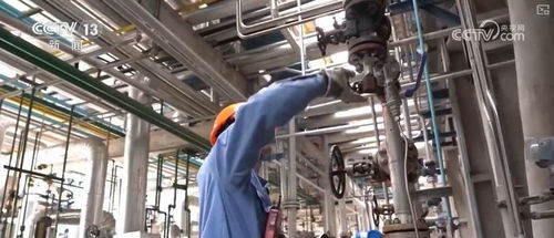 煉化工廠成鳥兒新家 綠色工業設計服務，盡顯工業之美